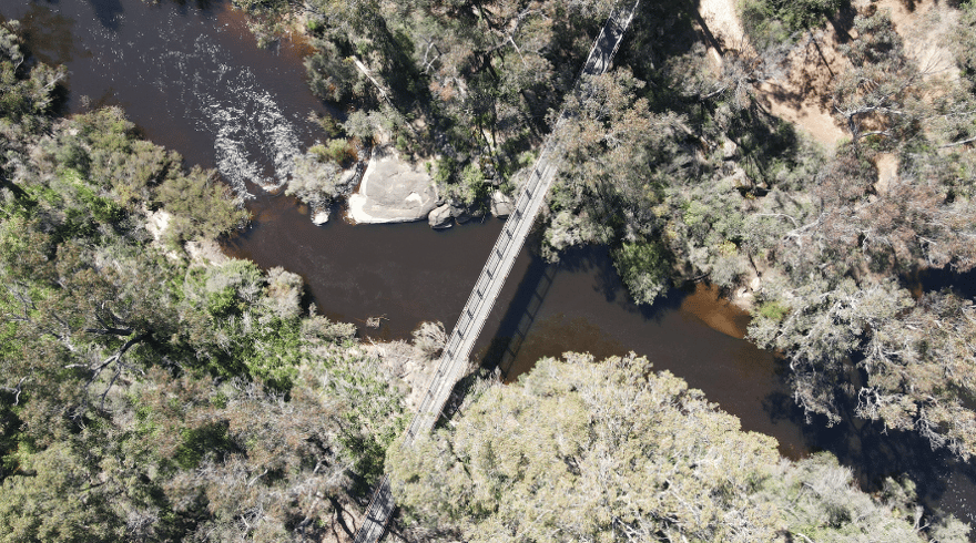 Photo related to: Wambenger Trails Update - Collie