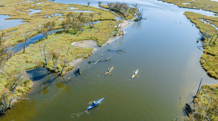 Photo related to: Paddling Paradise: Unveiling Mandurah's New Paddle Trails in the Peel-Harvey Estuary