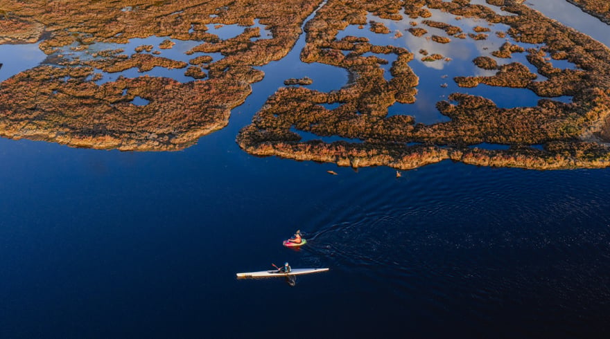 Photo related to: Still Water Photography Paddle - Accessible Guided Paddle Tour