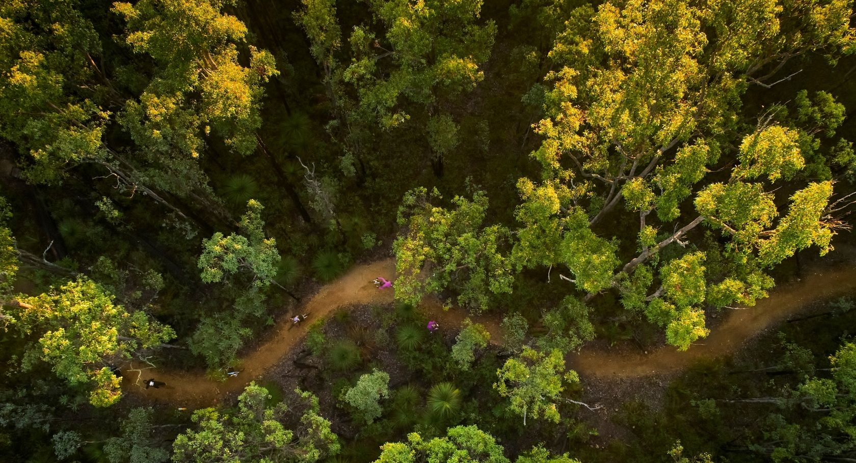 Collie MTB mountain bike trails