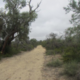Cockatoo trail near intersection with Coastal Plains trail