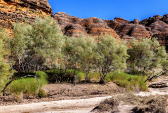 Photo of Whip Snake Gorge Trail, Purnululu NP trail