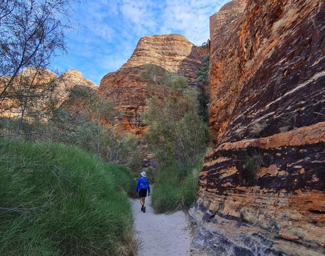 The spectacular beehive domes of Purnululu 