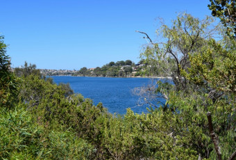 Photo of Jenna Biddi Yorga, Blackwall Reach, Bicton trail