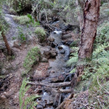 Water trickles over the sloping rocks of Whistlepipe Gully