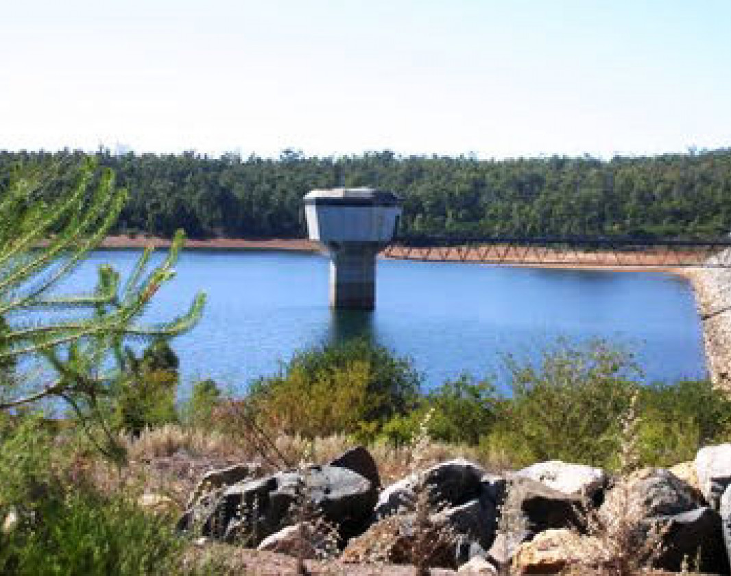 The Harris Dam is surrounded by beautiful forest land