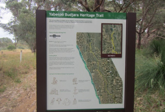 Photo of Yaberoo Budjara Heritage Trail, Yanchep NP trail