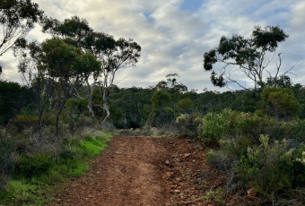 Photo of Lewis Road Walk, Forrestfield trail