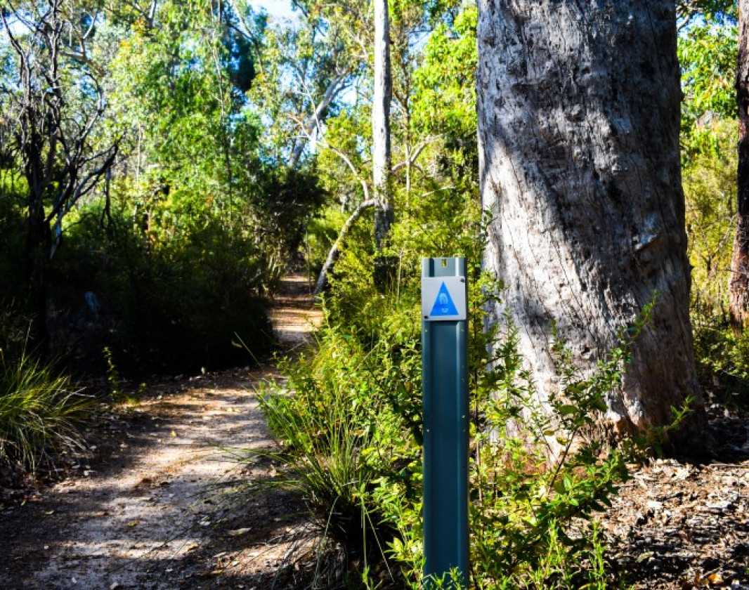 The Glen Brook Trail, starts and finishes from the picnic area in John Forrest National Park.