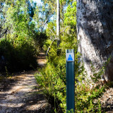The Glen Brook Trail, starts and finishes from the picnic area in John Forrest National Park.