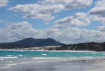 Photo of Hakea Walk Trail, East Fitzgerald NP trail
