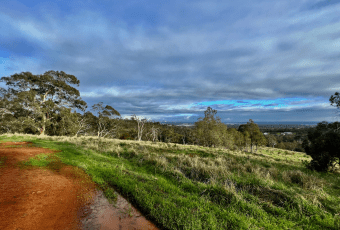 Photo of West Terrace Walk, Mundy Regional Park trail