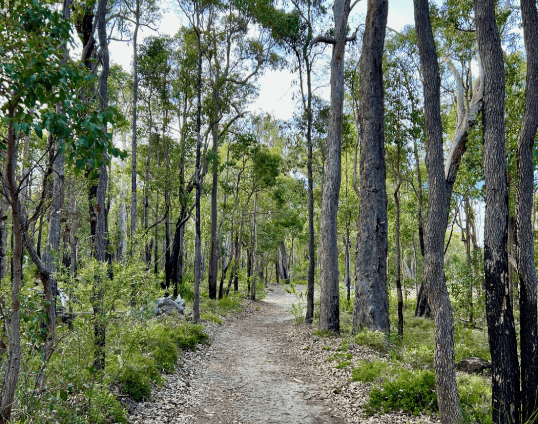 Timberline Trail Ks