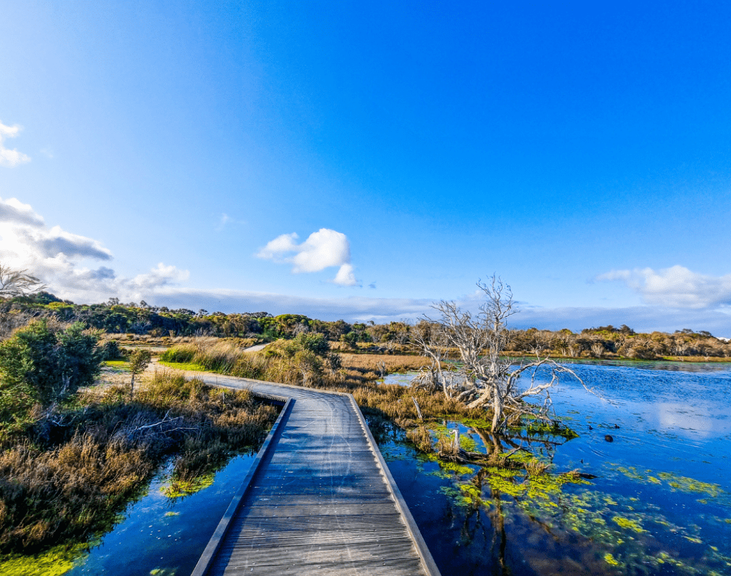 Boardwalk Over Wetlands, Erskine Trail, Len Howard Conservation Reserve