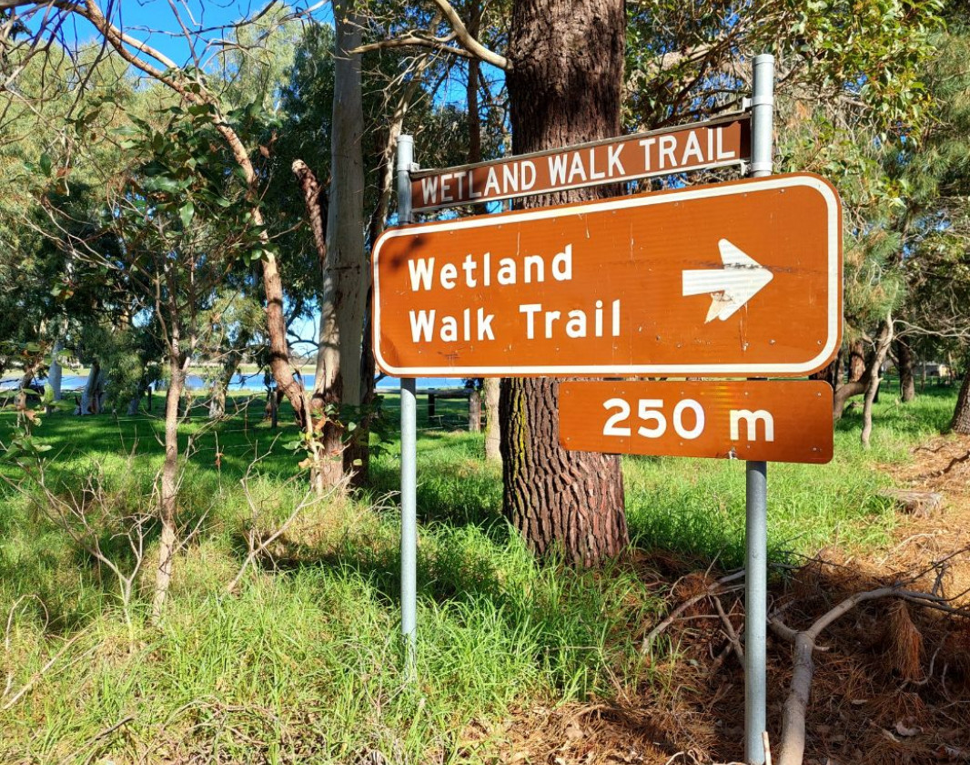 Wetland Walk Trail Hamel Trail Head K Fawcett