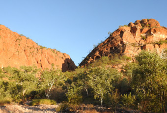 Photo of The Escarpment Trail, Purnululu NP trail