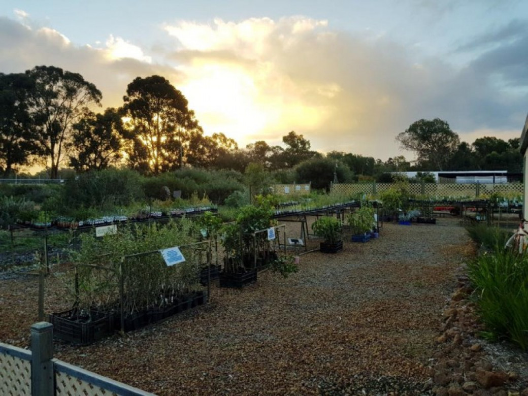 Eat, Pick, Grow Trail Wanneroo and Chittering Trails WA Trails WA