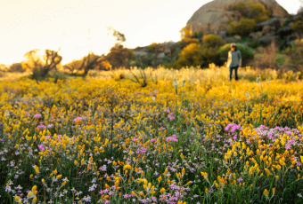 Photo of Wheatbelt Way Drive Trail trail