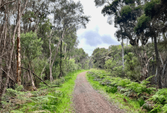 Photo of Wilson Inlet Heritage Trail, Denmark trail