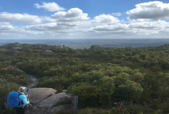 Photo of Mt Lindesay Trail, Mount Lindesay NP trail