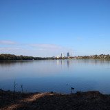 Views of Perth City skyline from Lake Monger