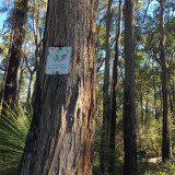 The Shire of Kalamunda sign at the start of the trail.