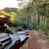 The Dales Gorge Trail follows the creek along the bottom of the gorge