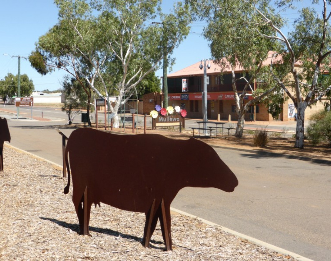 The Old Stock Route Trail starts in Mullewa - 100kms east of Geraldton.