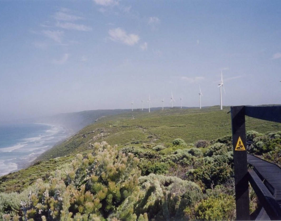 The wind farm is a popular tourist attraction.