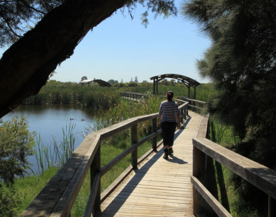 Boardwalk to a lookout over Big Swamp