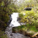 Beedelup Falls, a small and attractive series of rocky cascades, are a feature of the Beedelup National Park.