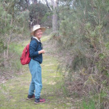 Hiker on the Spectacles Banksia Trail in Beeliar Park