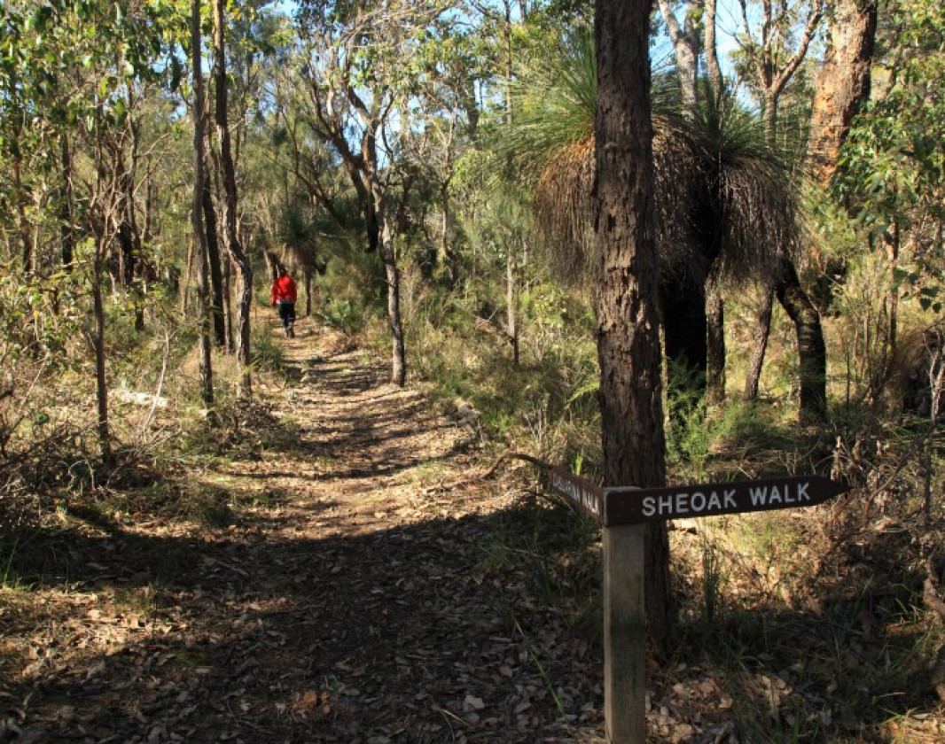 Signage on the trail
