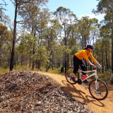 Arklow trails are great for beginners and intermediate riders.