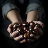 Chestnut Brae handful of chestnuts 