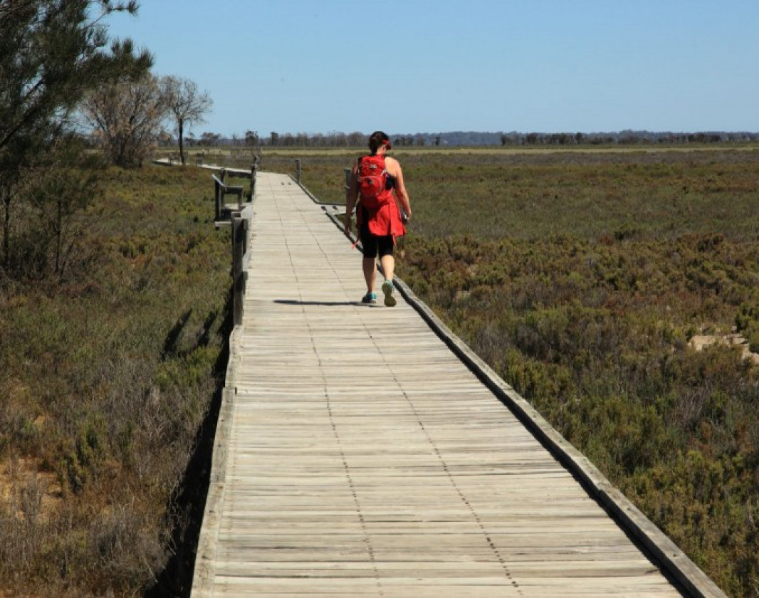 The boardwalk out to the bird hide