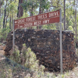 Curtin Tank Great Forest Trees Drive Shannon Np T Johnson