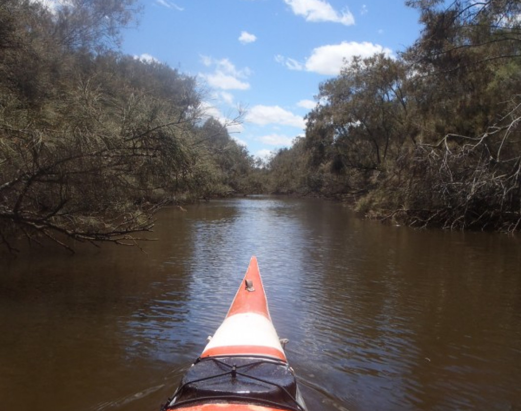 This kayak trail offers a sheltered and narrow tree-lined river with exceptional bird watching.
