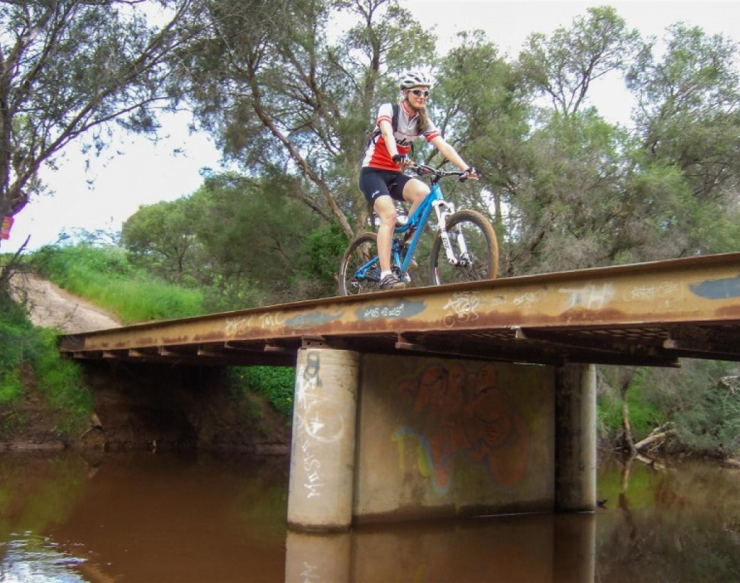 Crossing the bridge on a loop of the trails at Chapman River
