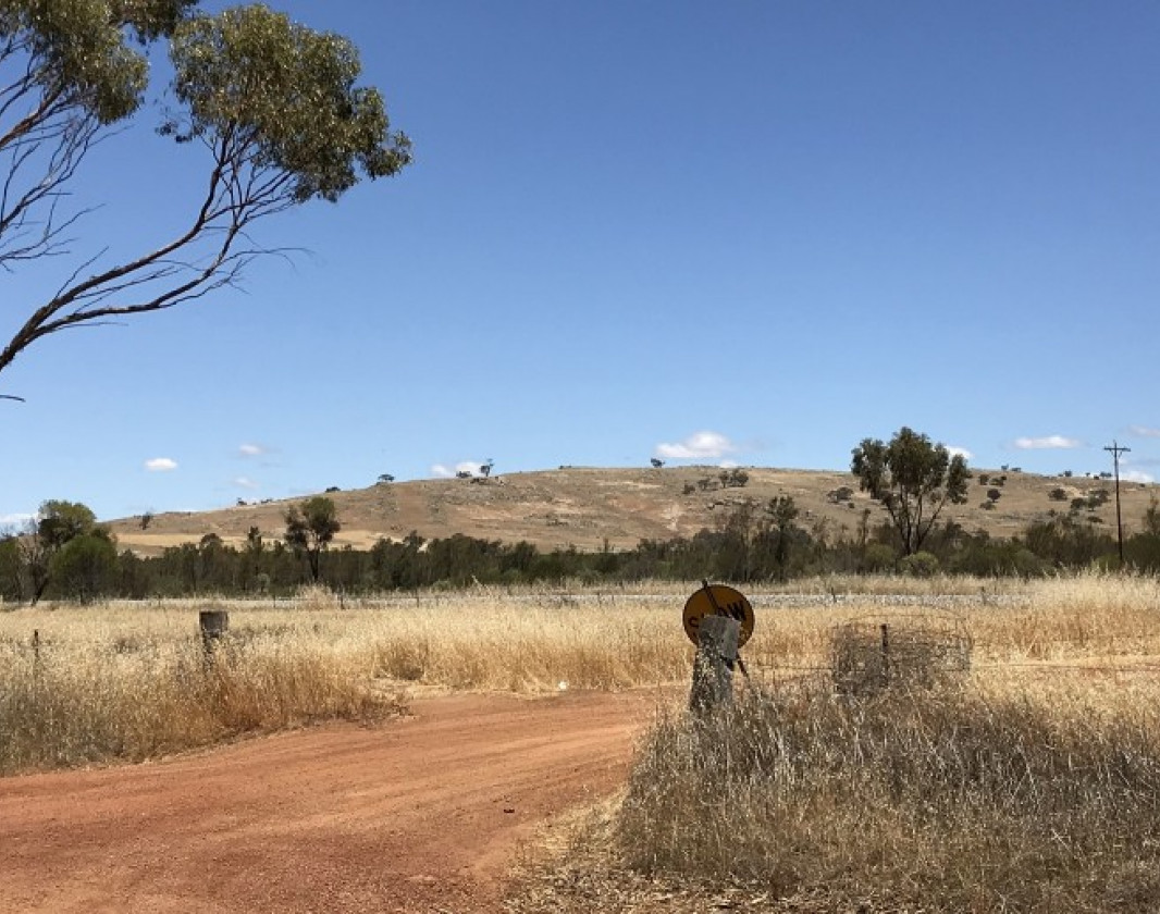 Much older than the farming landscape are the surrounding hills which speak of Ballardong Noongar cultural heritage. Look out for the Wargyl (Rainbow Serpent) track to your right; bare land in a distinct trail up the hillside. 