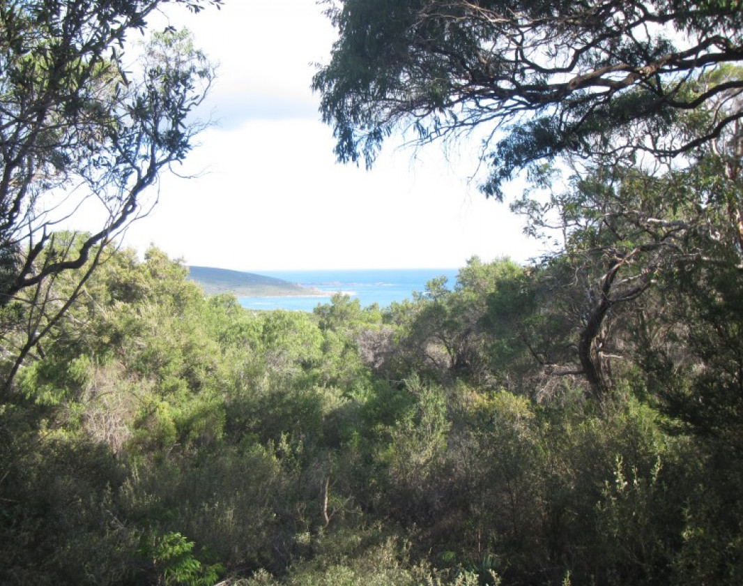 View from lookout