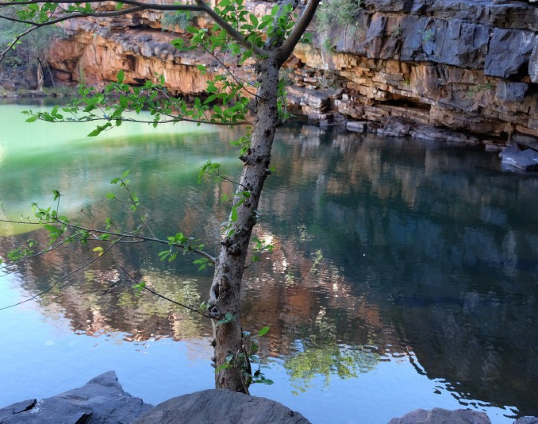 Reflections in Adcock Gorge