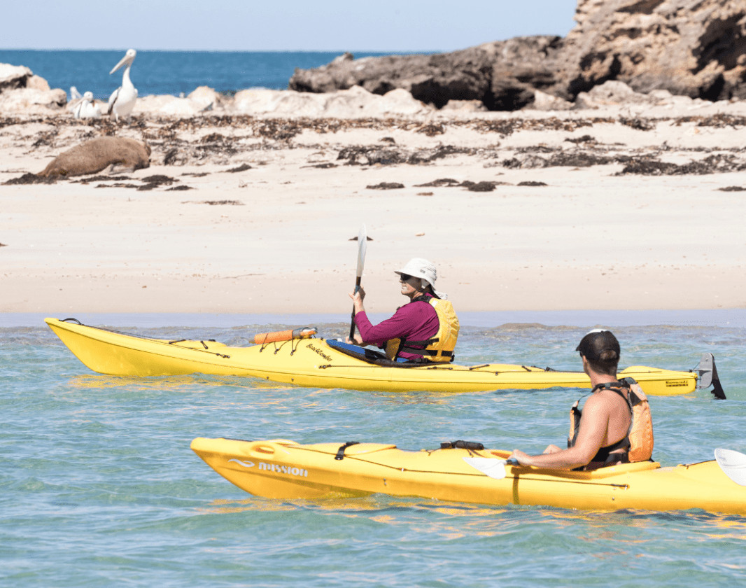 Kayakers2 Shoalwater Islands Marine Park Tourismwa