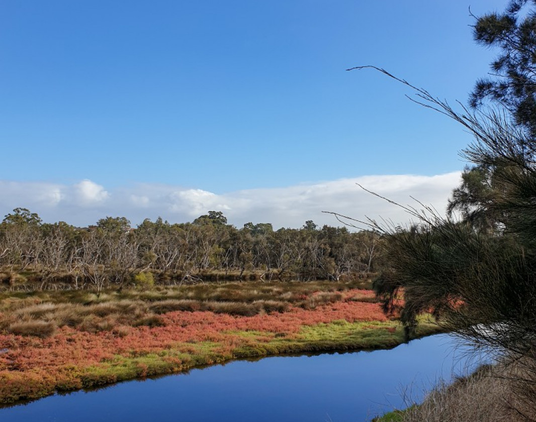 Once a waste tip, this beautiful sanctuary is now home to many wetland species.