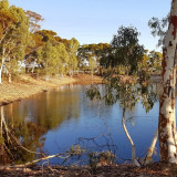 Learn about the dam and how it was used to fuel the steam trains that passed through Merredin from the late 1800s. Picnic tables are provided.
