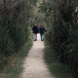 Start your walk via the Wetlands Trail
