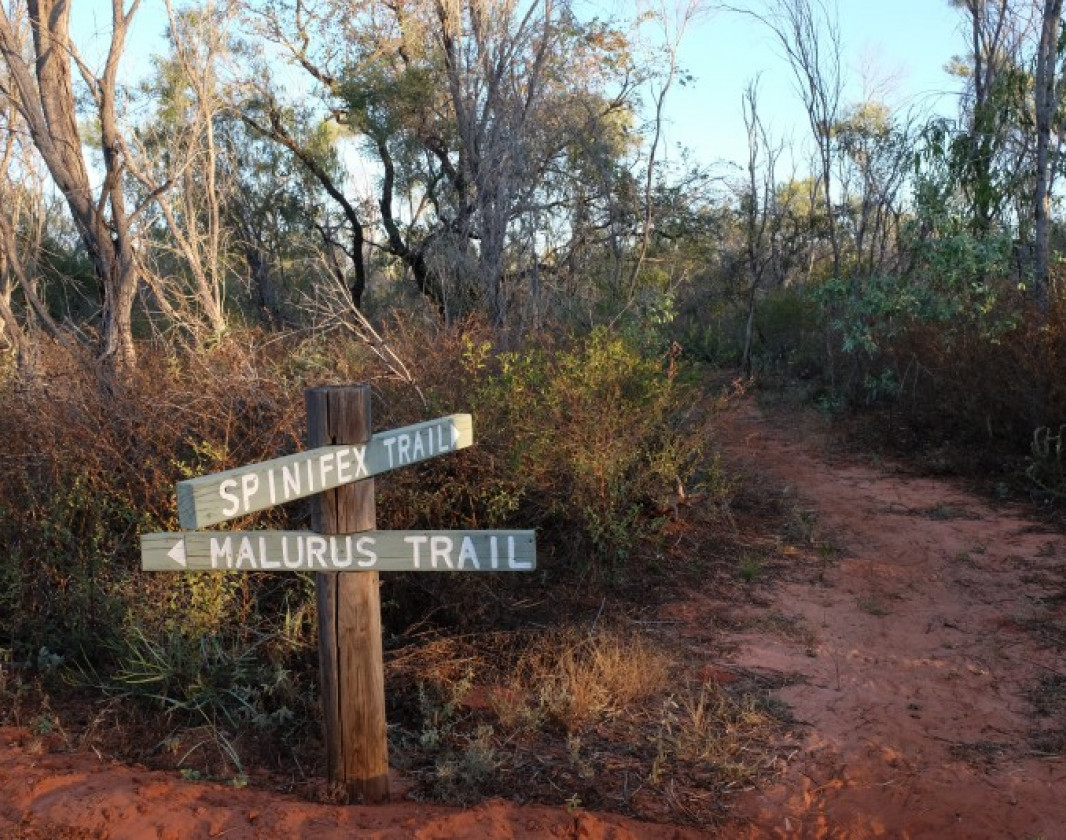 Spinifex Trail at the Broome Bird Observatory