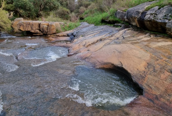 Photo of Roley Pools Nature’s Spa Walk, Roley Pool Reserve, Roleystone trail