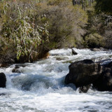 Rapids in Wellington National Park