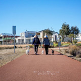 The 5 kilometre loop circuit around the lake is wheelchair and pram friendly and is also suitable for bikes. Dogs are allowed on the pathways but are not allowed to enter the water.